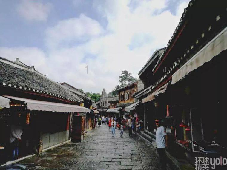 逃离天鹅森林
