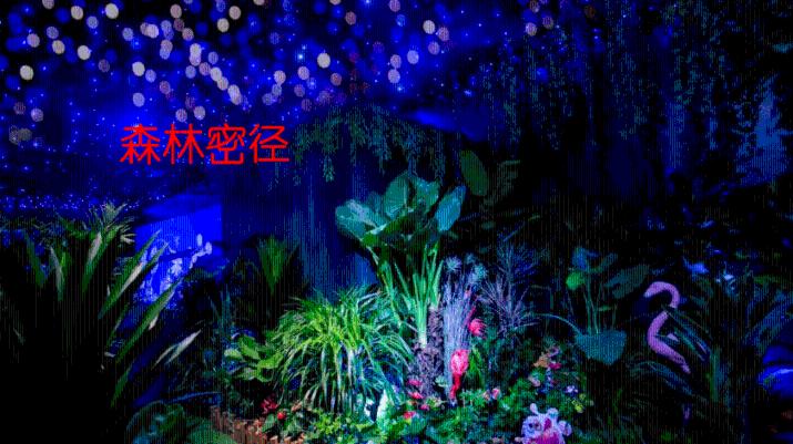 小怪运动会